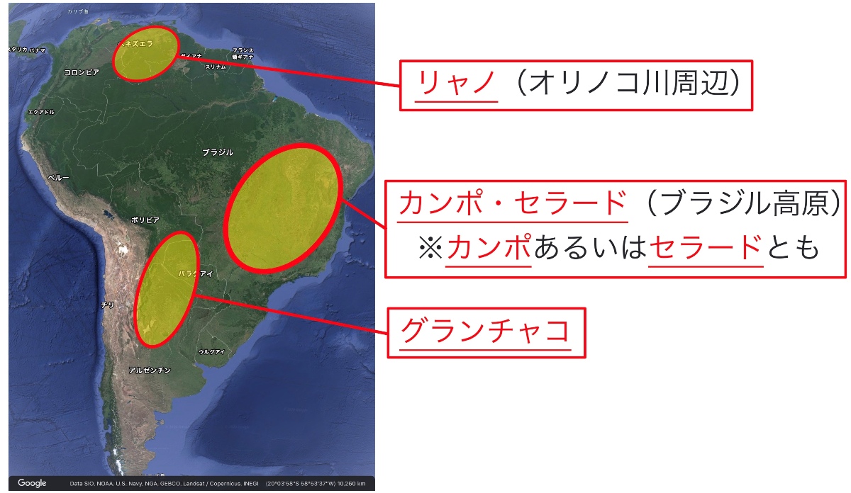 高校地理 A気候 熱帯 の自然と暮らし 熱帯雨林 サバナ 世界の気候 授業動画 高校地理のyoutube授業動画 地理を通して世界を知ろう