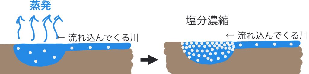 高校地理 B気候 乾燥帯 の自然と暮らし ステップ 砂漠 世界の気候 授業動画 高校地理のyoutube授業動画 地理を通して世界を知ろう